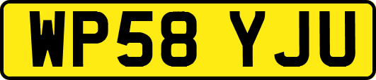 WP58YJU