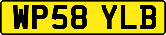 WP58YLB