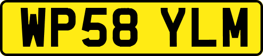 WP58YLM
