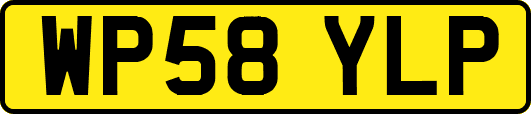 WP58YLP