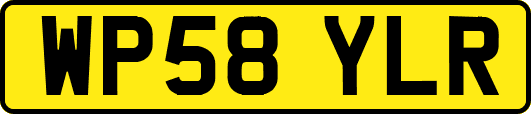 WP58YLR