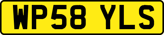 WP58YLS