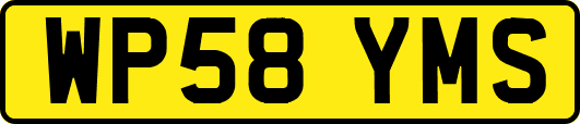 WP58YMS