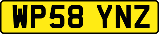 WP58YNZ