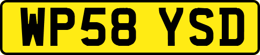 WP58YSD