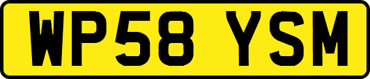 WP58YSM