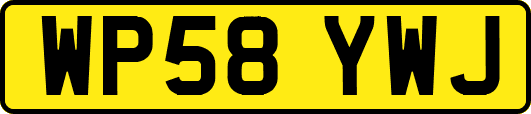 WP58YWJ
