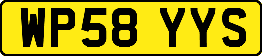 WP58YYS