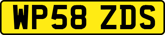 WP58ZDS