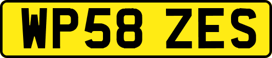 WP58ZES