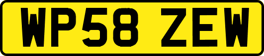 WP58ZEW