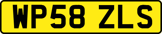 WP58ZLS