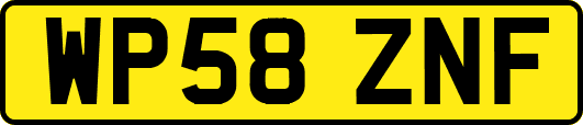 WP58ZNF