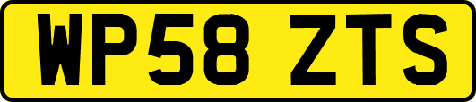 WP58ZTS