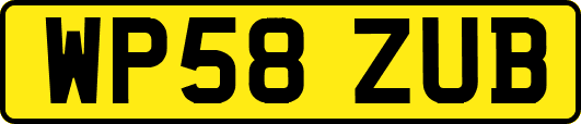 WP58ZUB