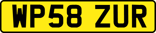 WP58ZUR