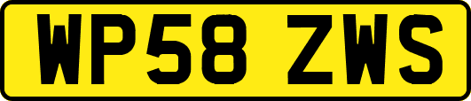 WP58ZWS