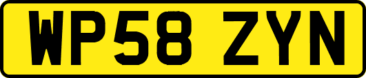 WP58ZYN