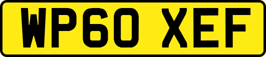 WP60XEF
