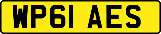 WP61AES