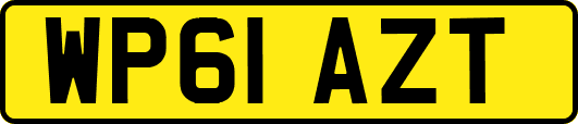 WP61AZT