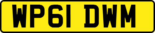 WP61DWM