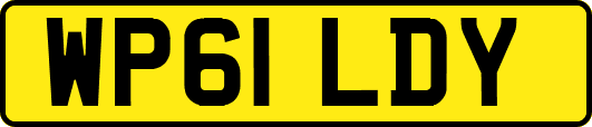 WP61LDY