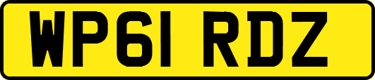 WP61RDZ