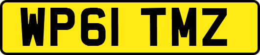 WP61TMZ