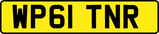 WP61TNR
