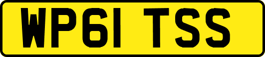 WP61TSS