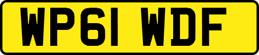 WP61WDF
