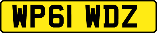 WP61WDZ