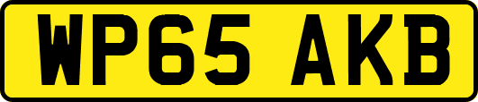 WP65AKB
