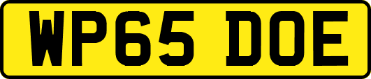 WP65DOE
