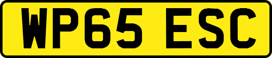 WP65ESC