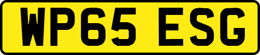 WP65ESG