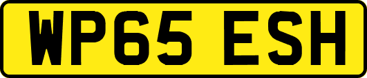 WP65ESH