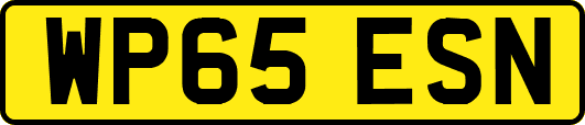 WP65ESN