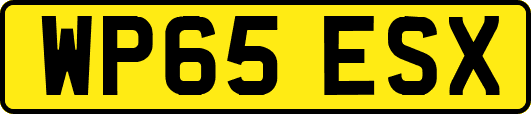 WP65ESX
