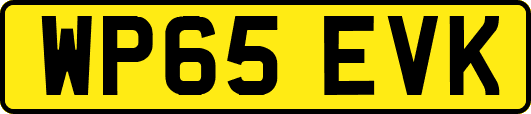 WP65EVK