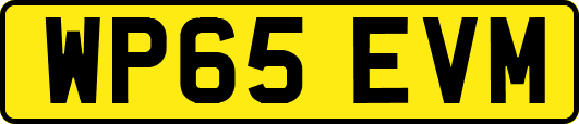 WP65EVM