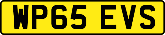 WP65EVS