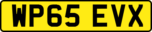 WP65EVX