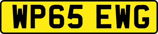 WP65EWG