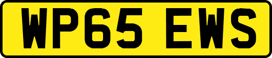 WP65EWS