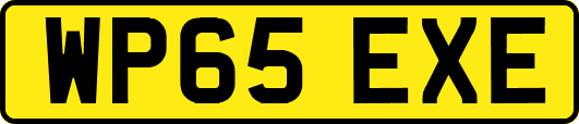 WP65EXE