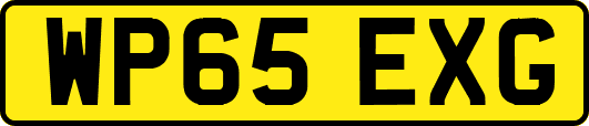 WP65EXG