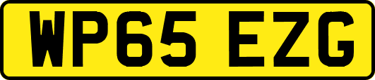 WP65EZG