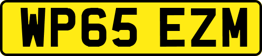WP65EZM